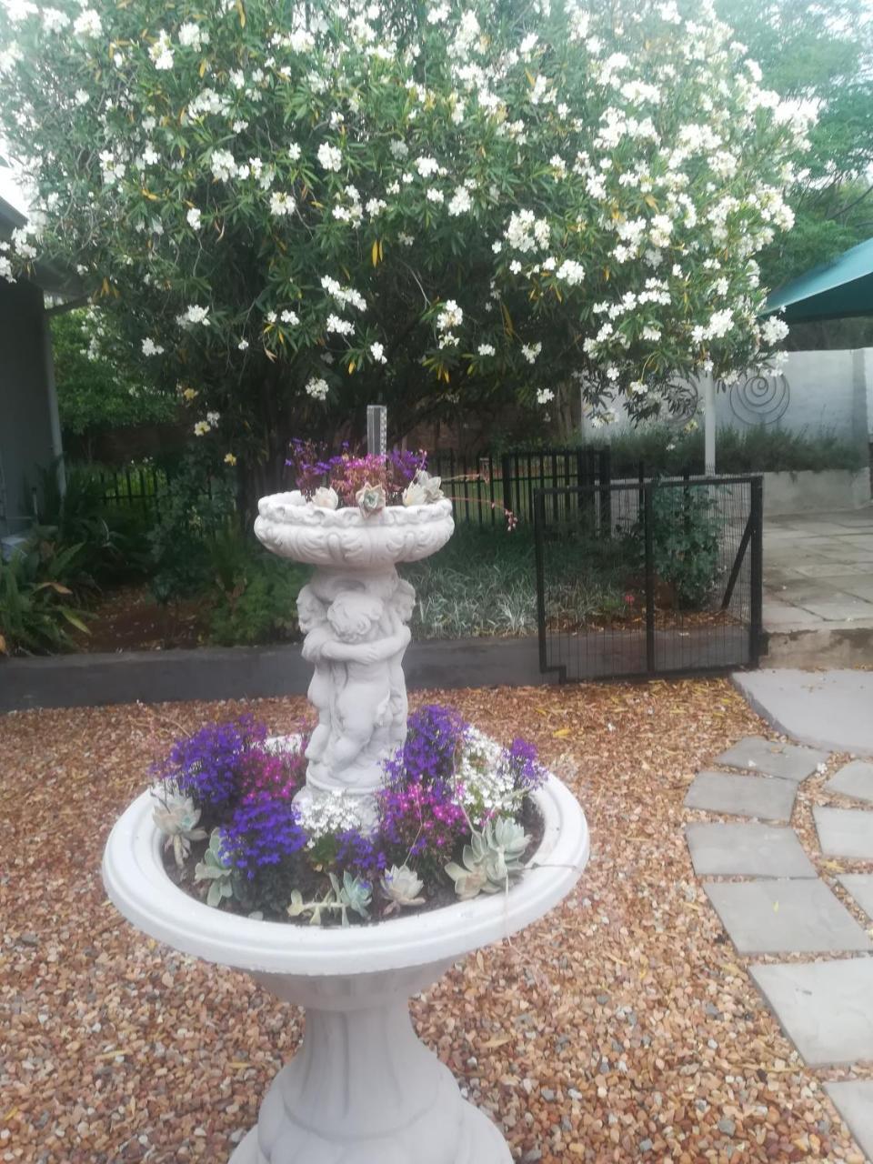 Mulberry Place Cradock Εξωτερικό φωτογραφία